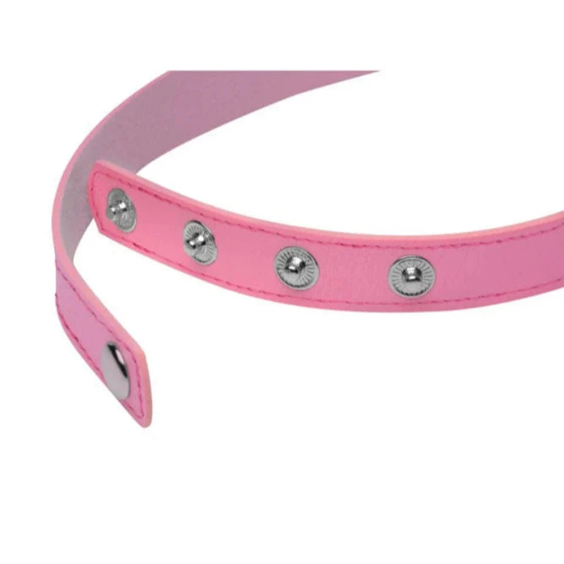 Bondage Gargantilla Con Anillo De Gatito Collar Kinky Kitty Ms